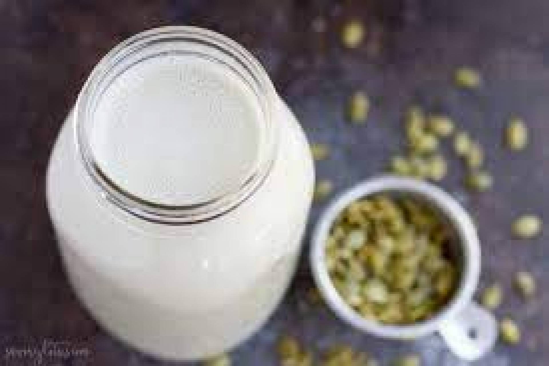 -HFW Pumpkin Seed Milk